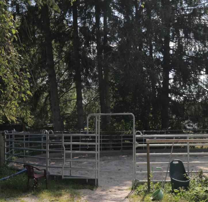 RoundpeN ein Reitanlage für das bEWGEN DER pFERDE